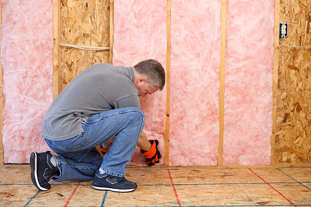 Best Insulation Installation Services in New Martinsville, WV